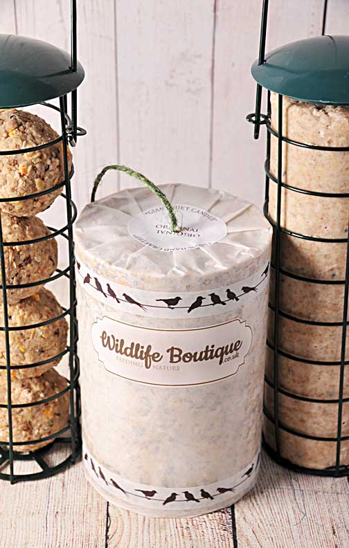 GIANT SUET CANDLE