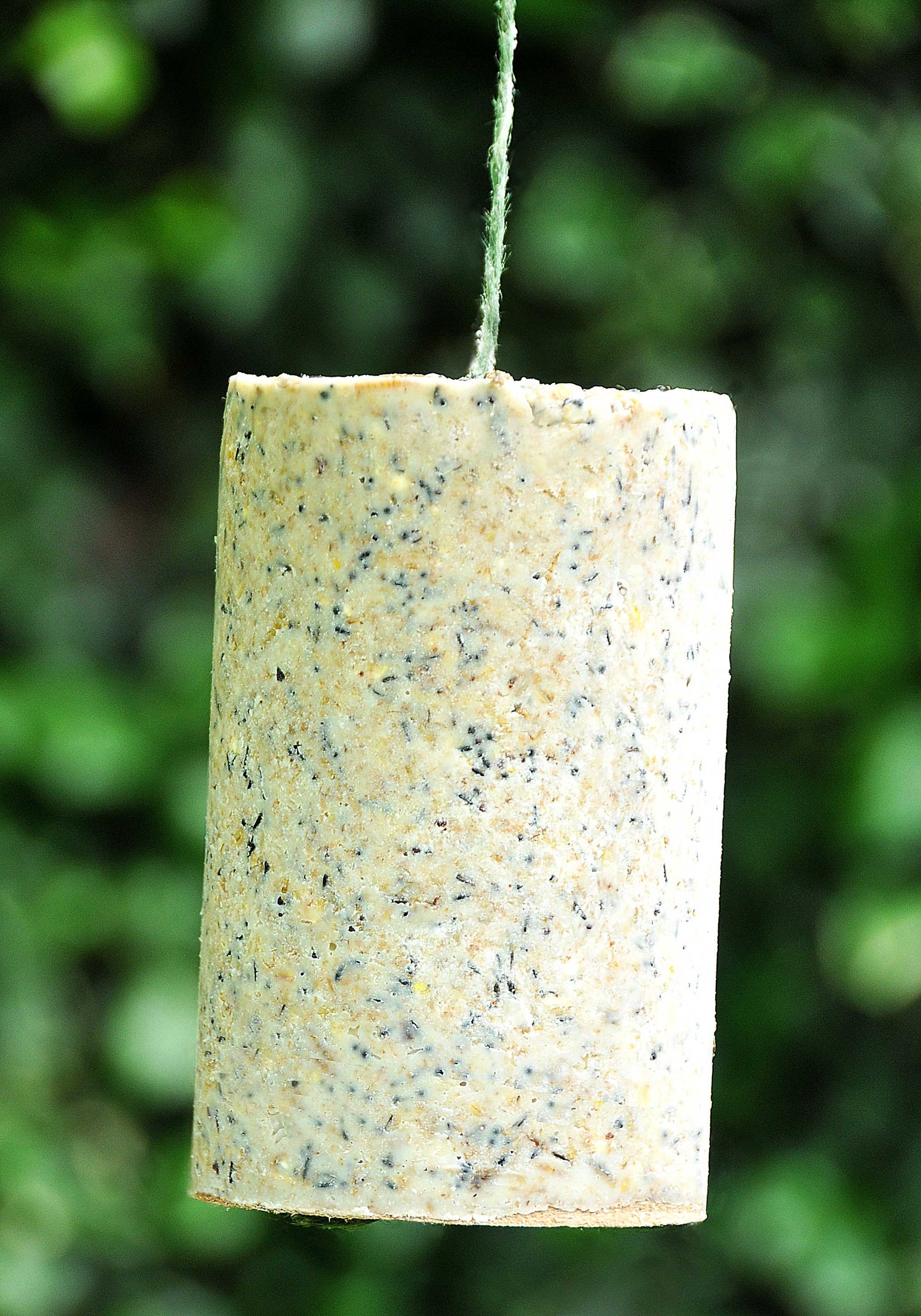 GIANT SUET CANDLE
