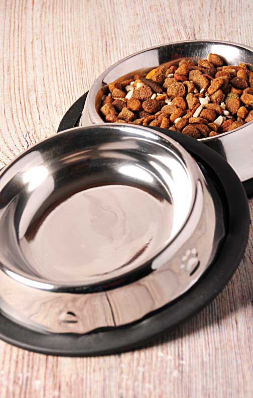 CAT PROOF HEDGEHOG FEEDING STATION