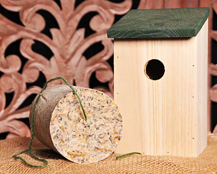 GIANT SUET CANDLE