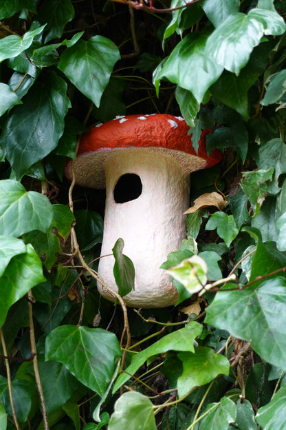 ECO SCULPTED AMANITA MUSCARIA