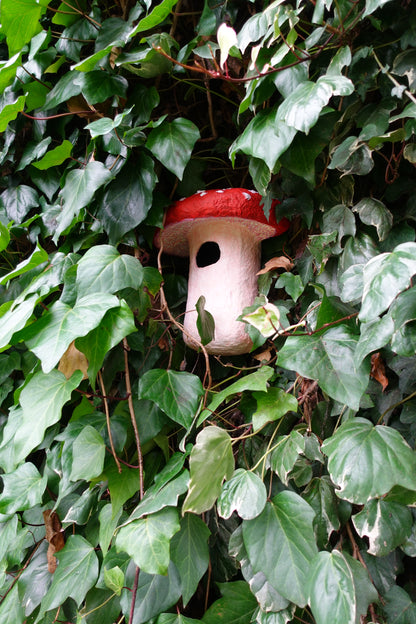 ECO SCULPTED AMANITA MUSCARIA