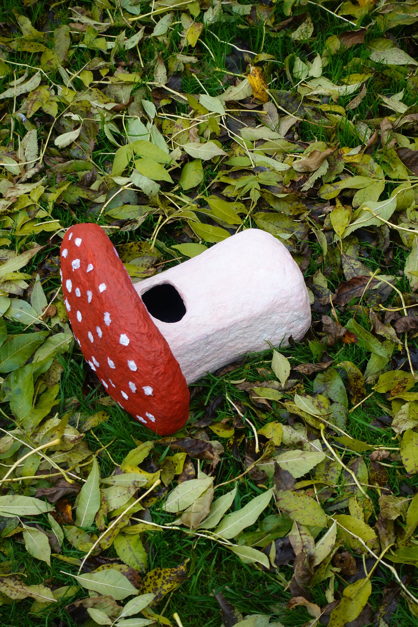 ECO SCULPTED AMANITA MUSCARIA