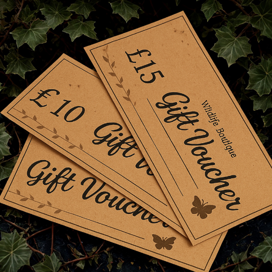 Vouchers diplayed laid out with ivy background