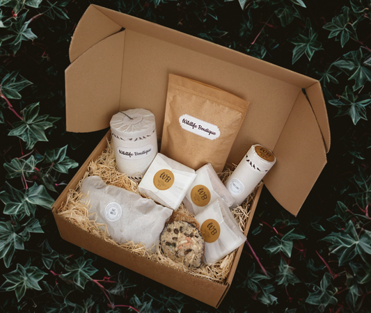 ULTIMATE WILD BIRD SUET HAMPER GIFT BOX