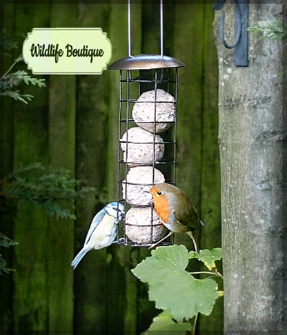 "Robin in the Snow" GIFT SET