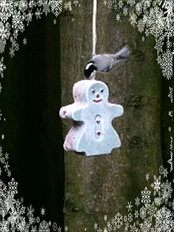 “NOVELTY HANGING BIRD FOOD”  GIFT SET