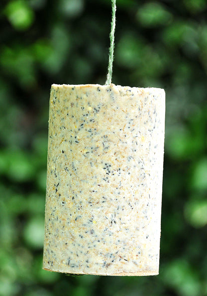 GIANT SUET CANDLE