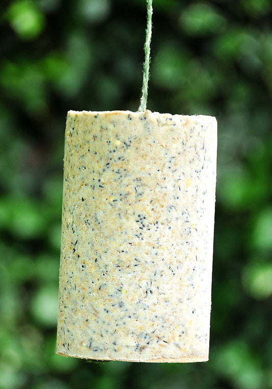 GIANT SUET CANDLE