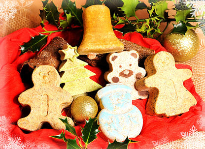 “NOVELTY HANGING BIRD FOOD”  GIFT SET