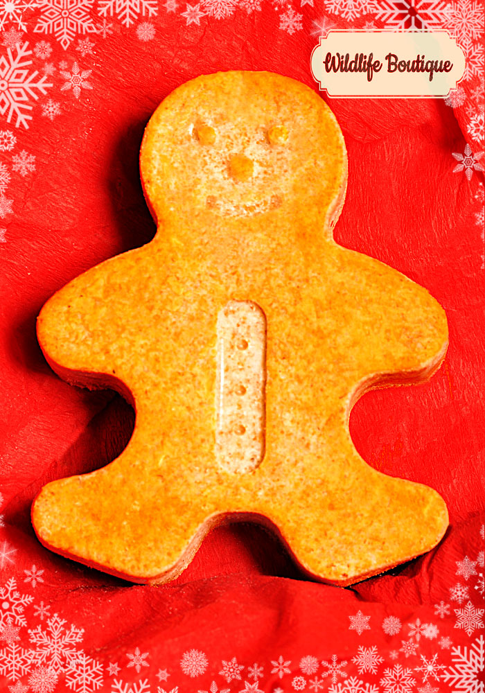 “NOVELTY HANGING BIRD FOOD”  GIFT SET