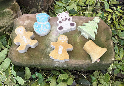 “NOVELTY HANGING BIRD FOOD”  GIFT SET