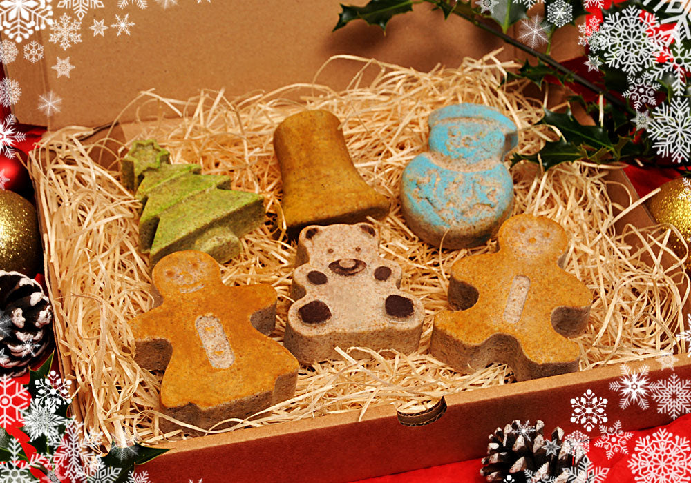 “NOVELTY HANGING BIRD FOOD”  GIFT SET