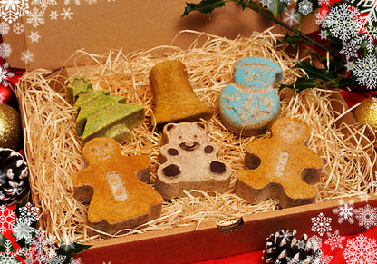 “NOVELTY HANGING BIRD FOOD”  GIFT SET