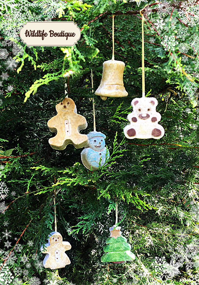 “NOVELTY HANGING BIRD FOOD”  GIFT SET