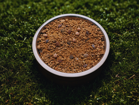 PREMIUM HEDGEHOG FOOD