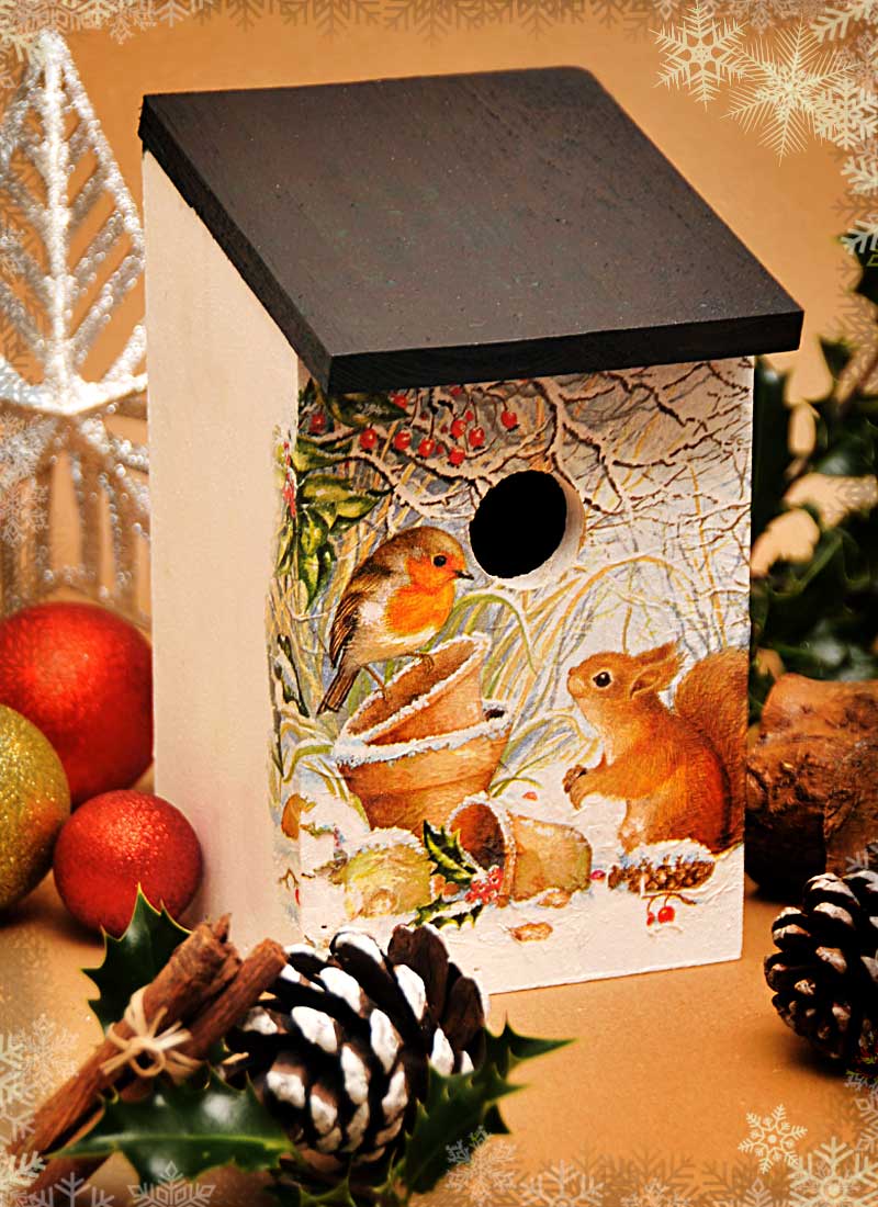 “Robin & Red Squirrel”  GIFT SET