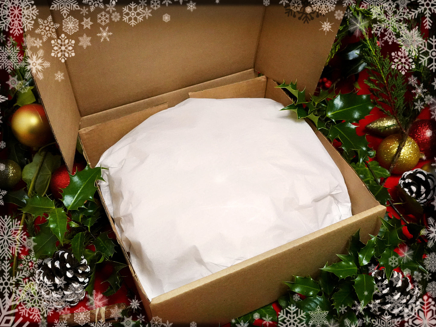 "Robin in the Snow" GIFT SET