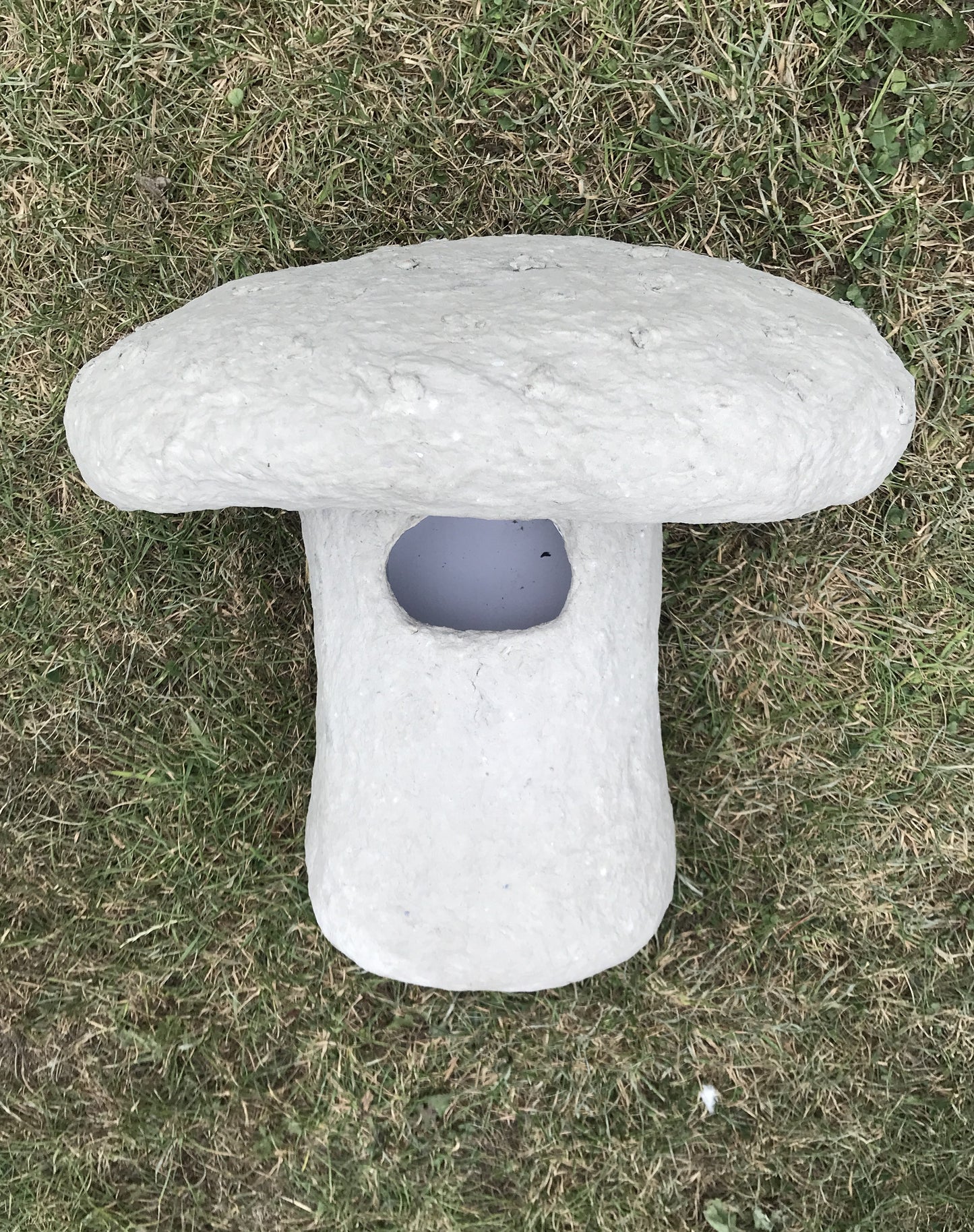 ECO SCULPTED AMANITA MUSCARIA