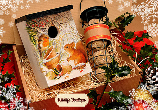 “Robin & Red Squirrel”  GIFT SET