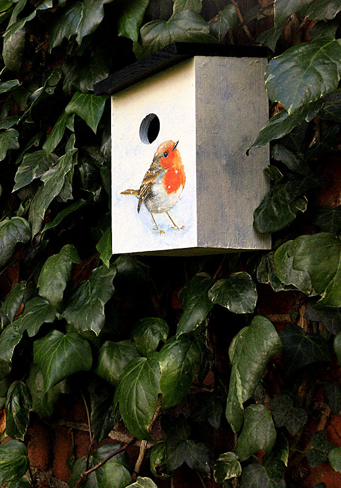 "Robin in the Snow" GIFT SET