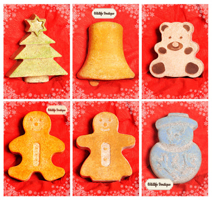 “NOVELTY HANGING BIRD FOOD”  GIFT SET