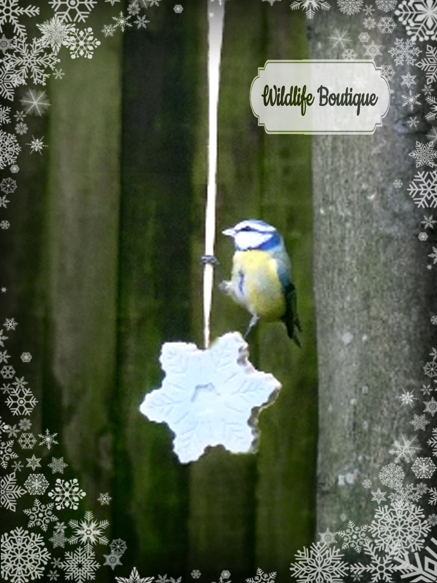 “NOVELTY HANGING BIRD FOOD”  GIFT SET