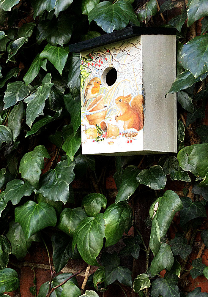 “Robin & Red Squirrel”  GIFT SET