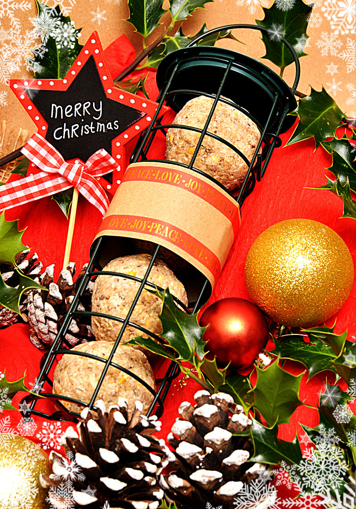 "Robin in the Snow" GIFT SET