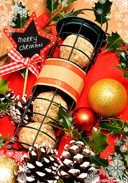 "Robin in the Snow" GIFT SET